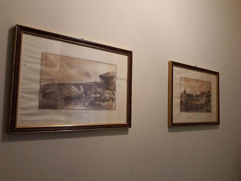 Nabucco Bed & Breakfast Catania Eksteriør bilde